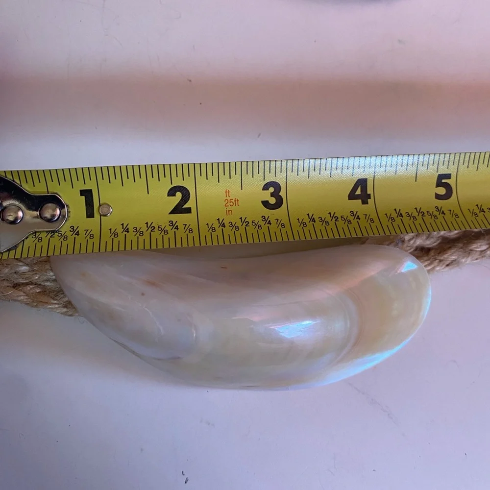 Belt- Elegant Cream Shell - Picture 11 of 11